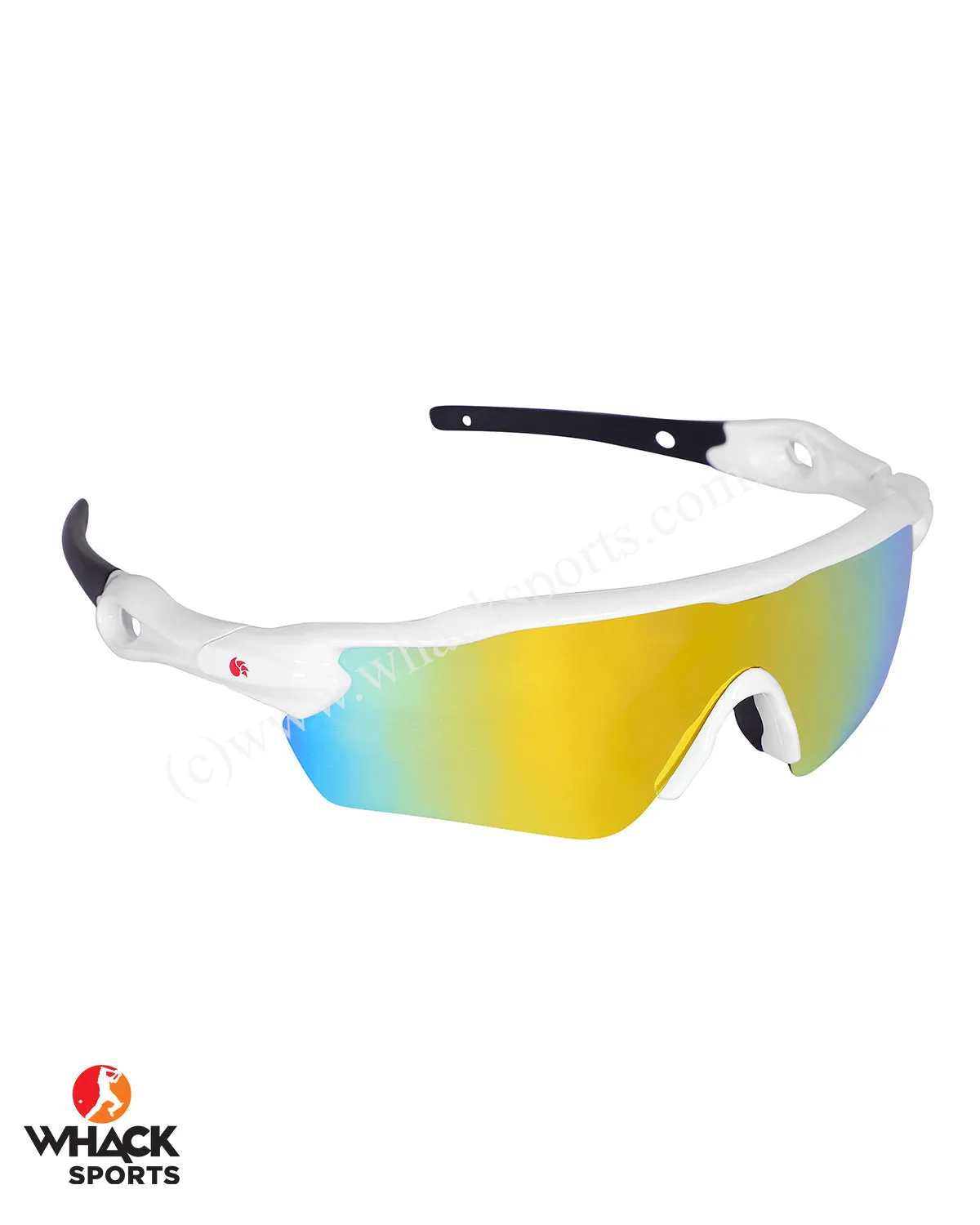 DSC Glider Cricket Sunglasses