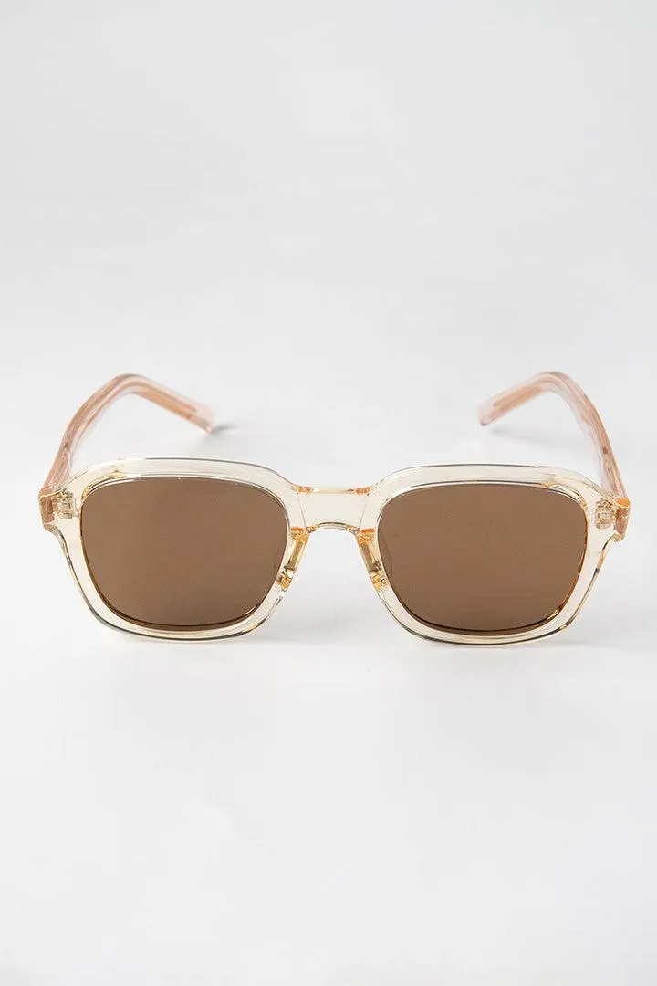 Square Sunglasses - Brown